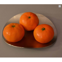Pétales en Inox - Set de Décoration Moderne en Acier Inoxydable pour Intérieur et Extérieur