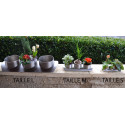 Jardinière Bamboo Arom – Jardinière inox élégante pour vos plantes aromatiques